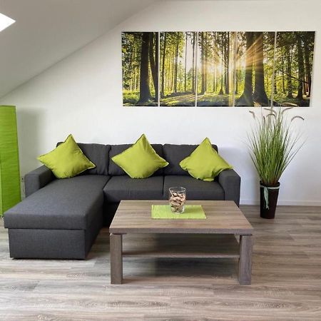 Ferienwohnung Frieda Mit Ueberdachtem Balkon Winterberg Eksteriør bilde